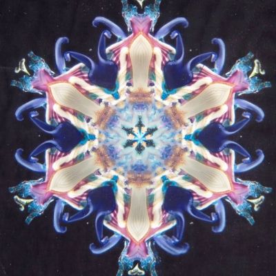 Kaleidoscope View 3